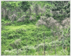  2025Ÿ��10206  �����