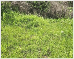  2025Ÿ��10206  �����