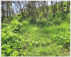  2025Ÿ��10206  �����