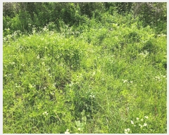  2025Ÿ��10206  �����