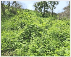  2025Ÿ��10206  �����