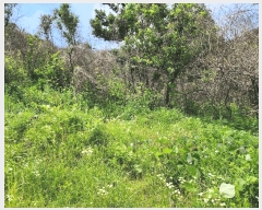  2025Ÿ��10206  �����