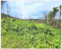  2025Ÿ��10206  �����