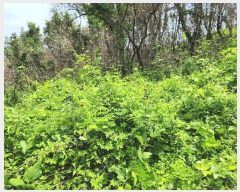  2025Ÿ��10206  �����