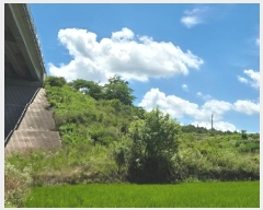  2025Ÿ��10214 ��� �Ǽ��� �Ȱ�� ������ 33-6      ����(��)���