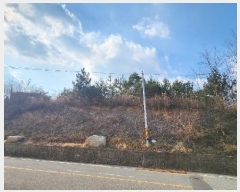  2025Ÿ��11 ��� ������ ������ ��θ� ��52-3      ����(�Ӿ�)���