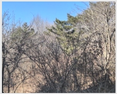  2025Ÿ��11 ��� ������ ������ ��θ� ��52-3      ����(�Ӿ�)���