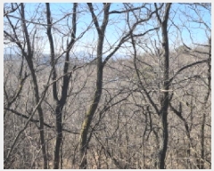  2025Ÿ��11 ��� ������ ������ ��θ� ��52-3      ����(�Ӿ�)���