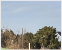  2025Ÿ��158 ��� ������ �ϸ� �α��� 404-12      ����(��)���