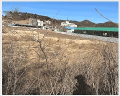  2025Ÿ��172 ��� ���籺 ������ ���θ� 61      ����(��)���