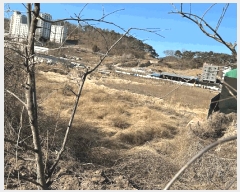  2025Ÿ��172 ��� ���籺 ������ ���θ� 61      ����(��)���