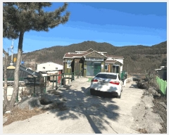  2025Ÿ��196  ���ð��