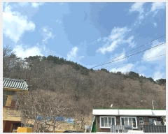  2025Ÿ��271  �����