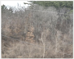  2025Ÿ��271  �����