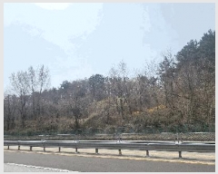  2025Ÿ��318  �Ӿ߰��