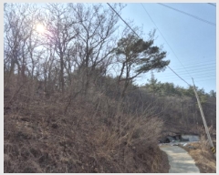  2025Ÿ��318  �Ӿ߰��