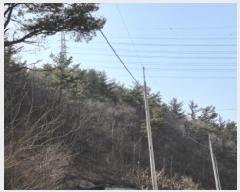  2025Ÿ��318  �Ӿ߰��