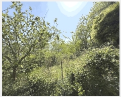  2025Ÿ��417 ��� ������ ������ â���� 172      ����(��1)���