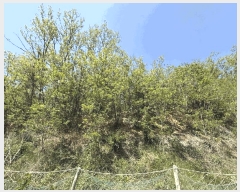  2025Ÿ��417 ��� ������ ������ â���� 172      ����(��1)���