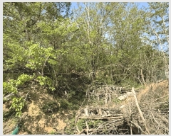  2025Ÿ��417 ��� ������ ������ â���� 172      ����(��1)���