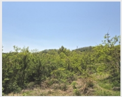  2025Ÿ��417 ��� ������ ������ â���� 172      ����(��1)���