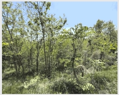  2025Ÿ��417 ��� ������ ������ â���� 172      ����(��1)���