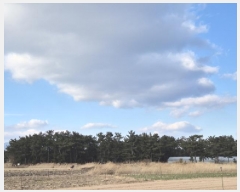  2025Ÿ��10018 ��� ������ ����� ��õ�� 206-125      ����(�Ӿ�)���