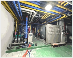  2025Ÿ��10032 ��� ������ ������ ������ 732      �ٸ��ü�,�󰡰��