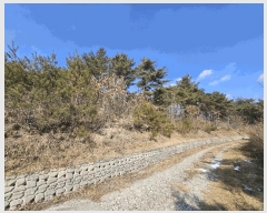  2025Ÿ��10056 ��� ���籺 ������ ȭõ�� ��151      ����(�Ӿ�)���