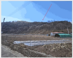  2025Ÿ��10056 ��� ���籺 ������ ȭõ�� ��151      ����(�Ӿ�)���