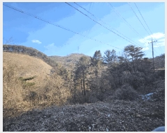  2025Ÿ��10056 ��� ���籺 ������ ȭõ�� ��151      ����(�Ӿ�)���