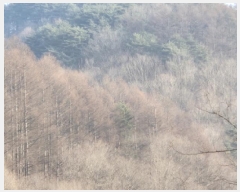  2025Ÿ��10056 ��� ���籺 ������ ȭõ�� ��151      ����(�Ӿ�)���