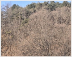  2025Ÿ��10056 ��� ���籺 ������ ȭõ�� ��151      ����(�Ӿ�)���