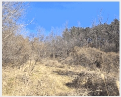  2025Ÿ��10117  �����