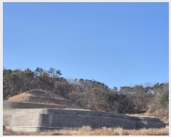  2025Ÿ��10131 ��� ������ ���� ��� 246-1      ����(��)���