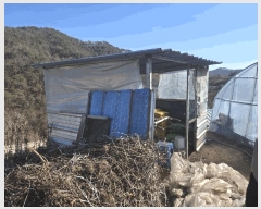  2025Ÿ��10155  �����