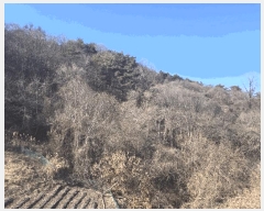  2025Ÿ��10155  �����