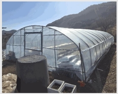  2025Ÿ��10155  �����