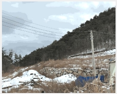  2025Ÿ��10167  �Ӿ߰��