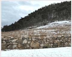  2025Ÿ��10167  �Ӿ߰��