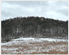  2025Ÿ��10167  �Ӿ߰��