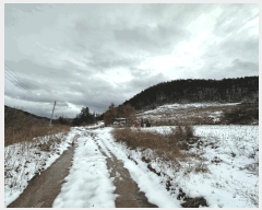  2025Ÿ��10167  �Ӿ߰��