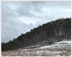  2025Ÿ��10167  �Ӿ߰��