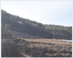  2025Ÿ��10167  �Ӿ߰��