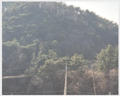  2025Ÿ��10167  �Ӿ߰��