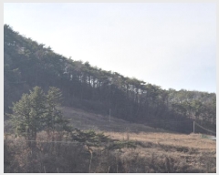  2025Ÿ��10167  �Ӿ߰��