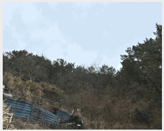  2025Ÿ��10169  �����