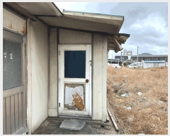  2025Ÿ��10169  �����