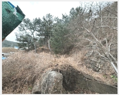  2025Ÿ��10169  �����