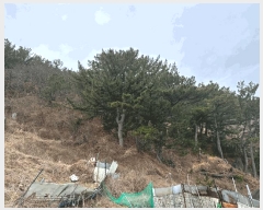  2025Ÿ��10169  �����